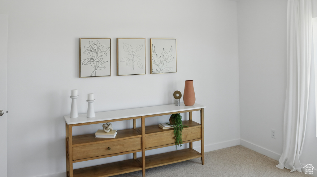 Detailed view of carpet and baseboards