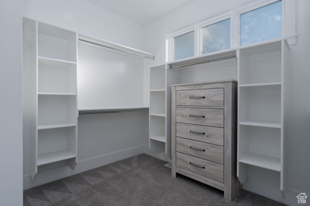 Spacious closet featuring dark carpet
