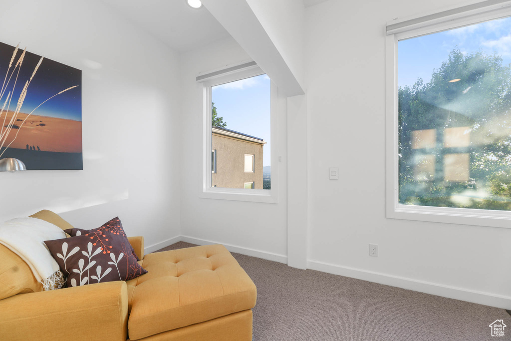 Living area featuring carpet floors, healthy amount of natural light, and baseboards