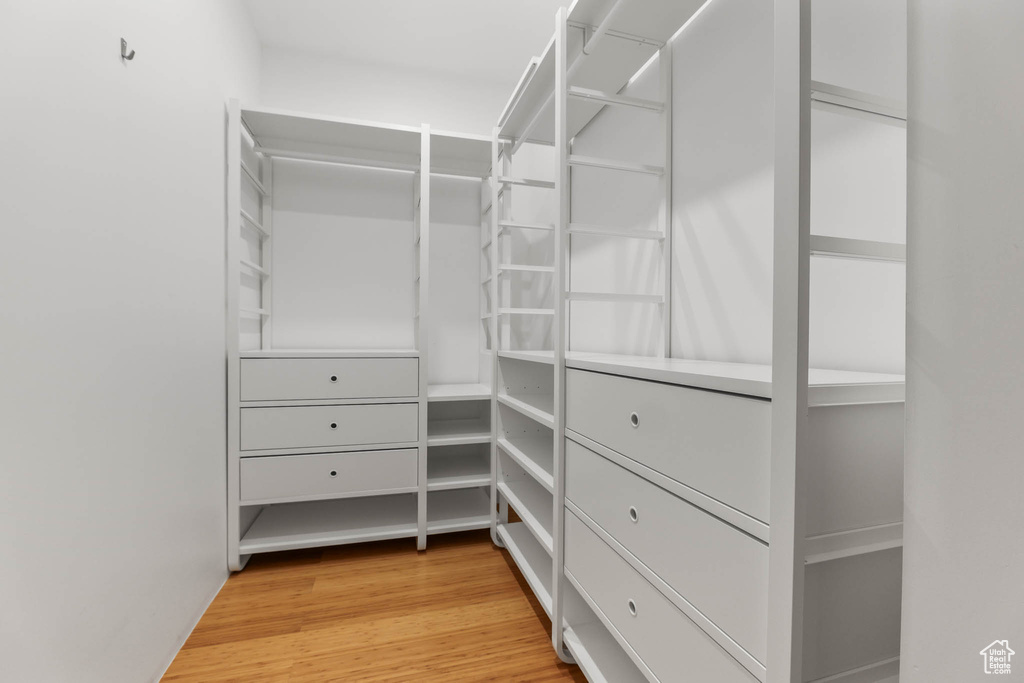 Spacious closet featuring light wood finished floors