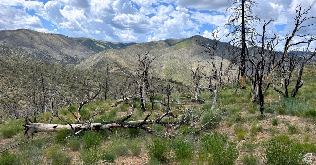 Mountain view