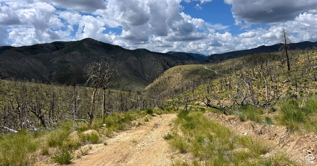 View of mountain background