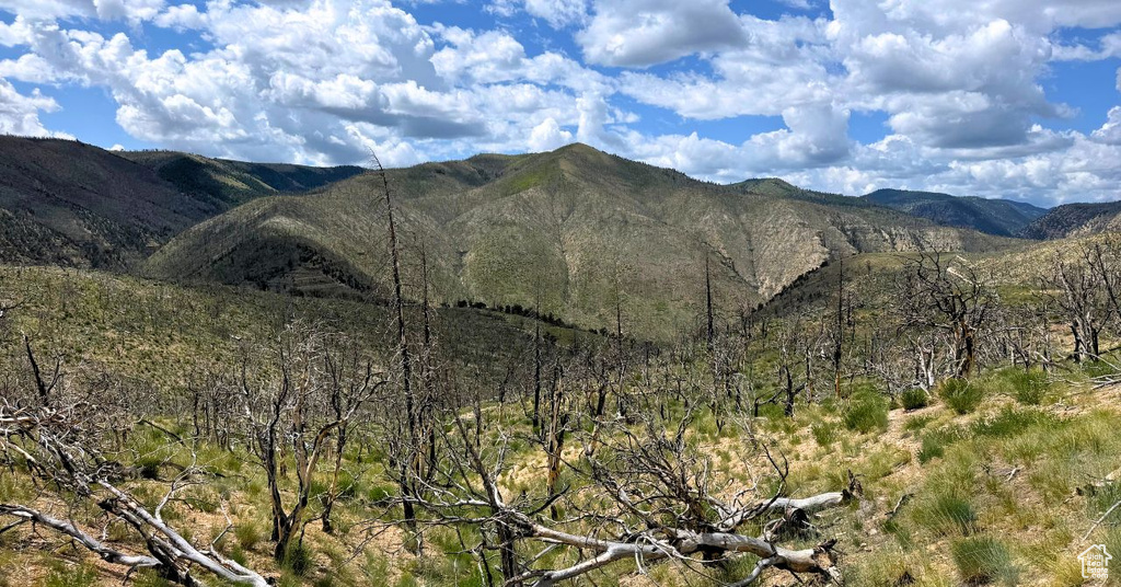 View of mountain background