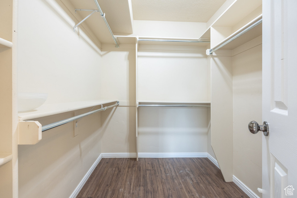Spacious closet featuring wood finished floors