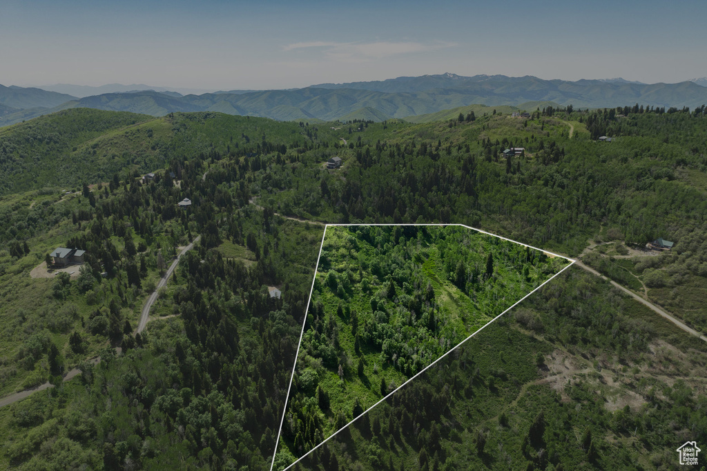 Aerial overview of property's location featuring a heavily wooded area, mountains, and property parcel outlined