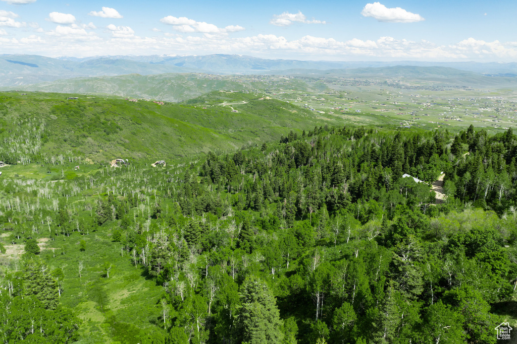 Aerial overview of property's location with mountains