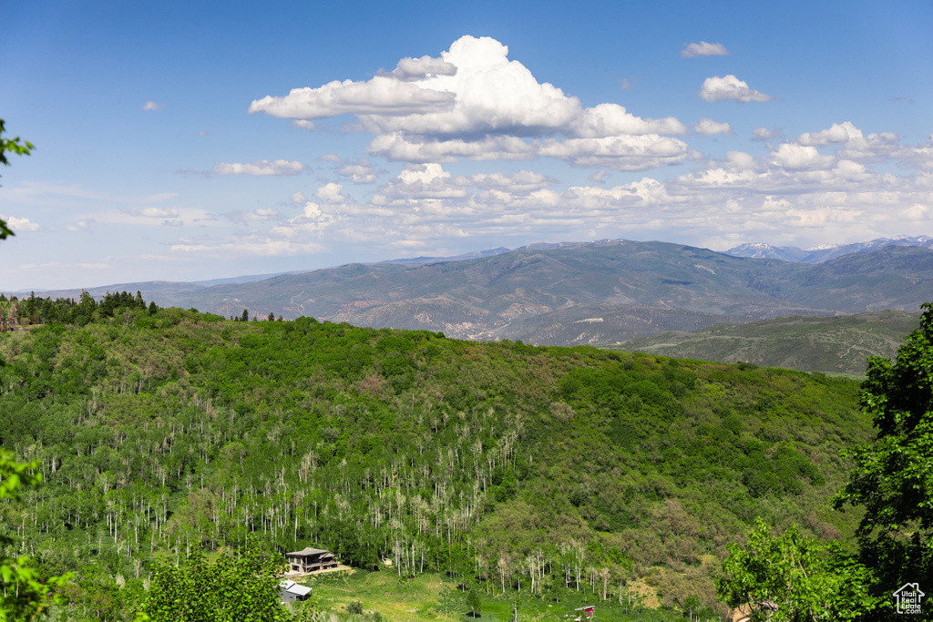 View of mountain backdrop with a heavily wooded area