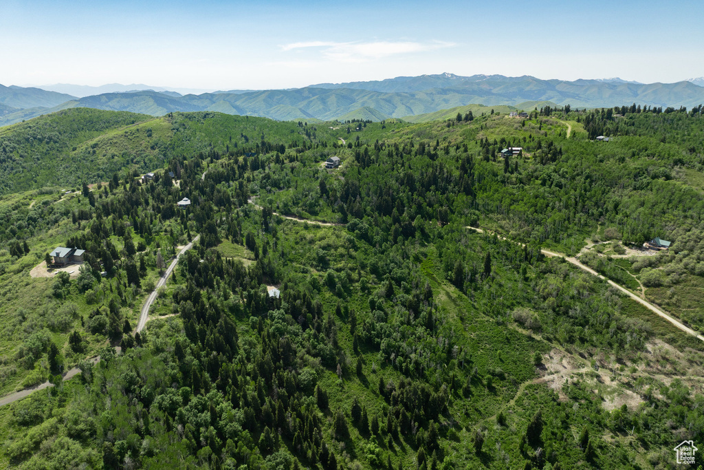 Aerial view of property's location with a heavily wooded area and a mountain backdrop