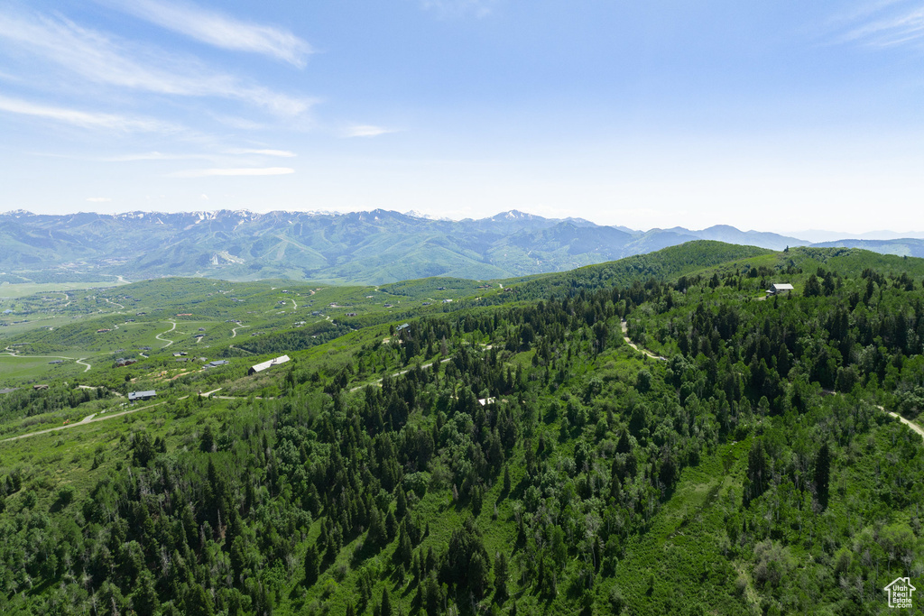 View of mountain backdrop with a forest