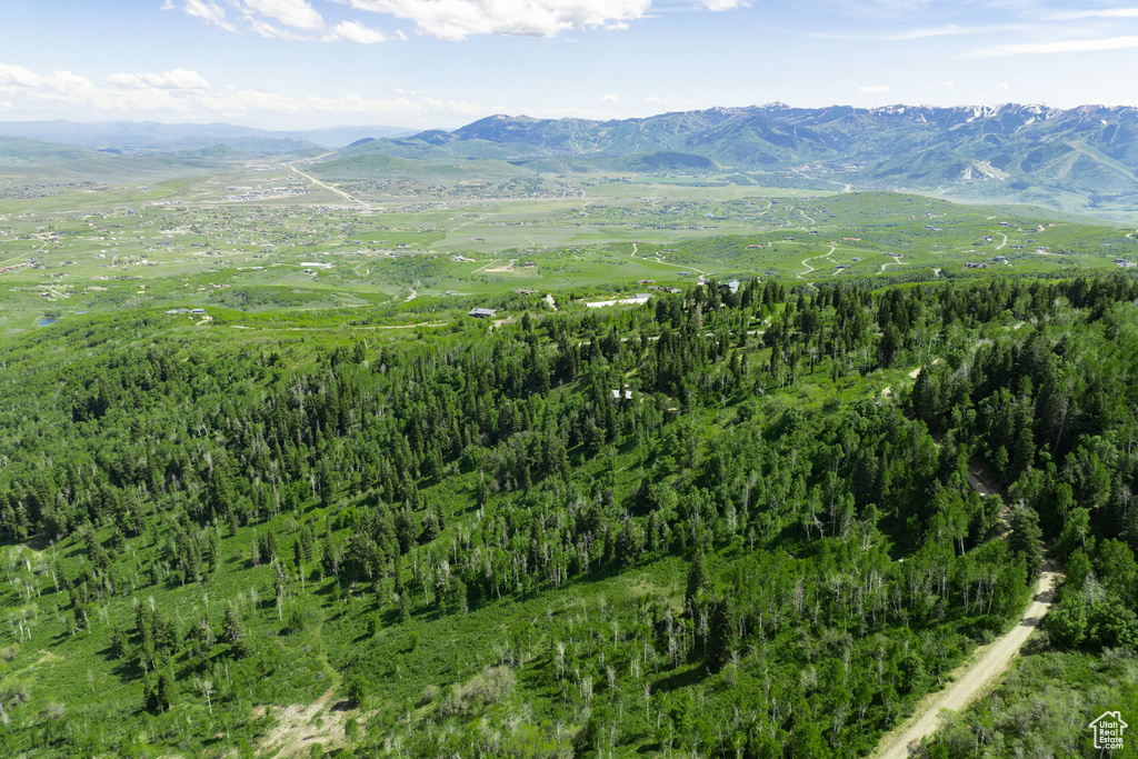 View of mountain backdrop with a forest