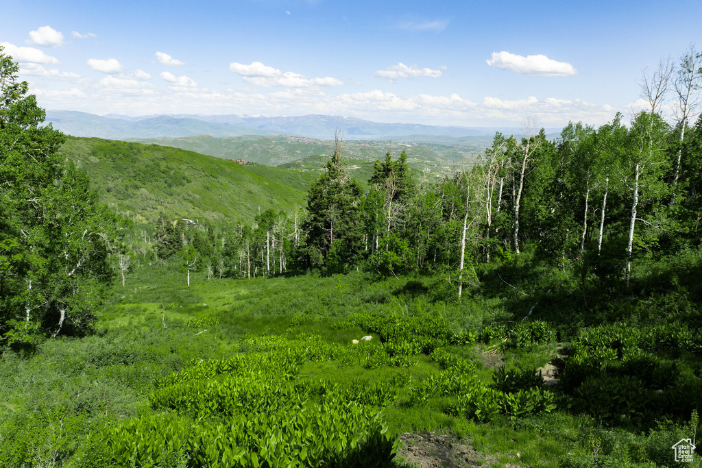 View of mountain background