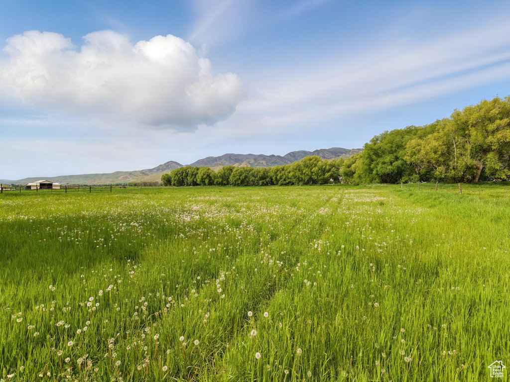 190 N MORGAN VALLEY DR Morgan, UT 84050