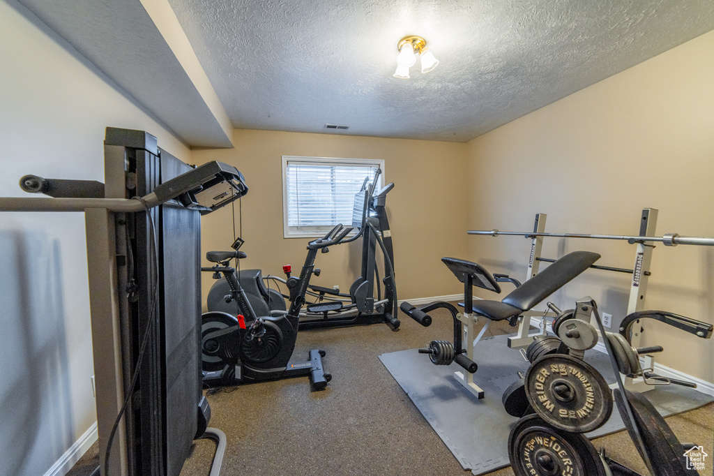 Workout room featuring a textured ceiling, baseboards, and carpet floors