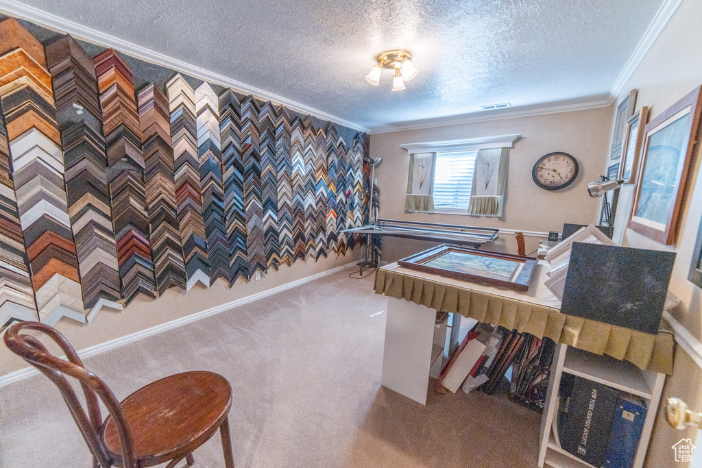Playroom featuring a textured ceiling, crown molding, carpet flooring, and baseboards
