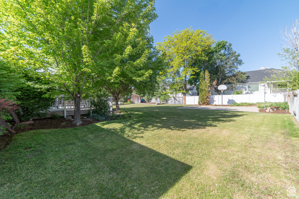 View of yard