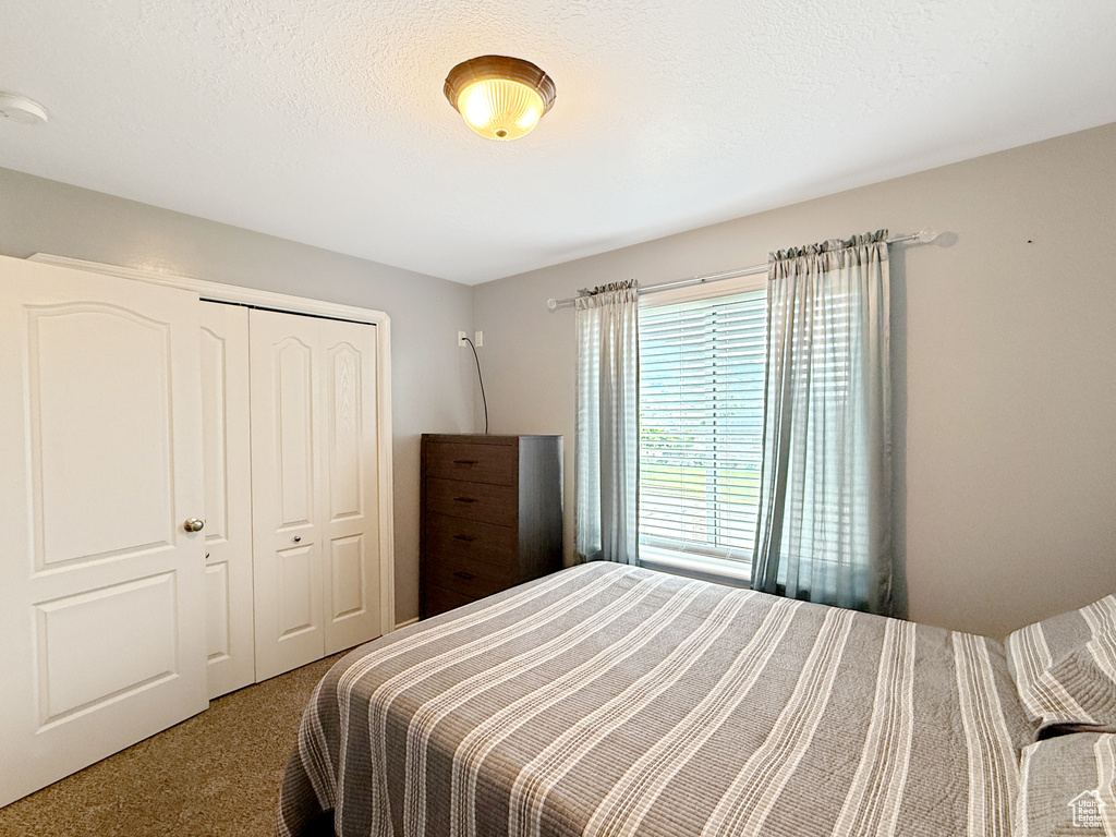 Carpeted bedroom with a closet