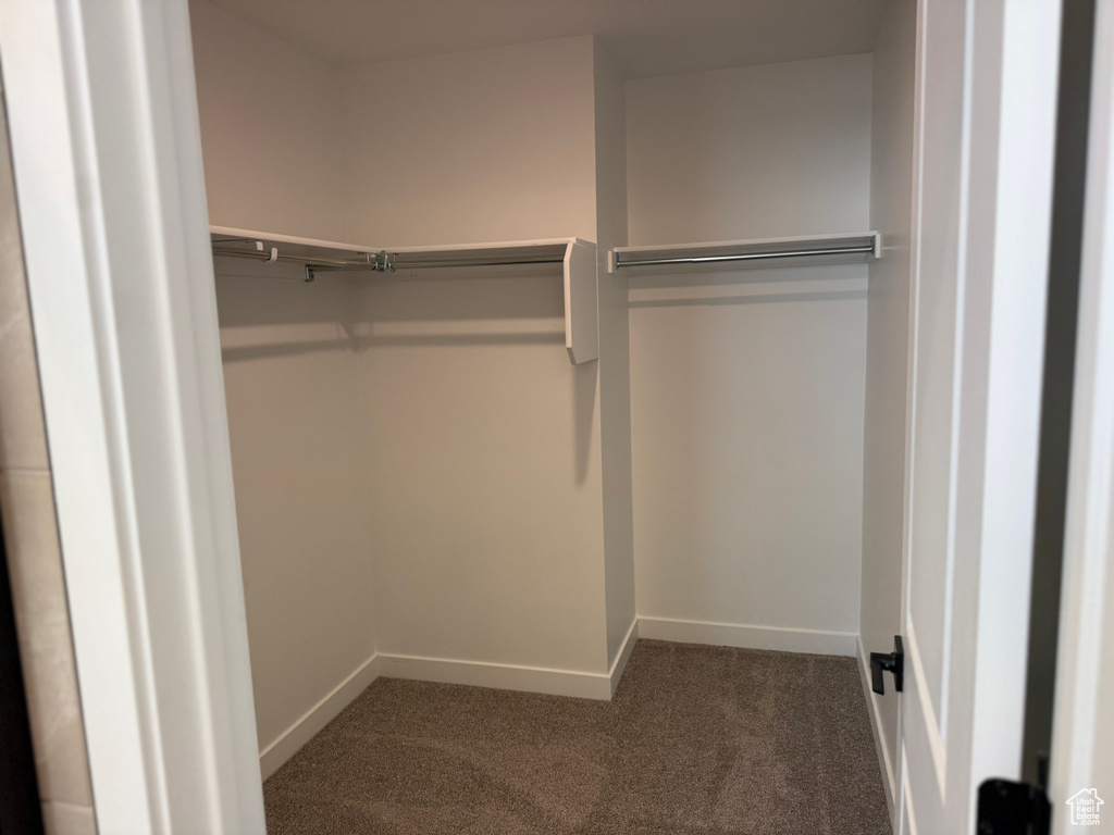 Walk in closet with carpet floors