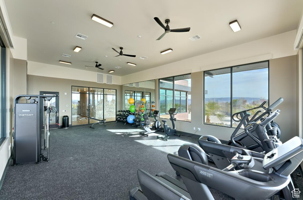 Workout area with ceiling fan and plenty of natural light