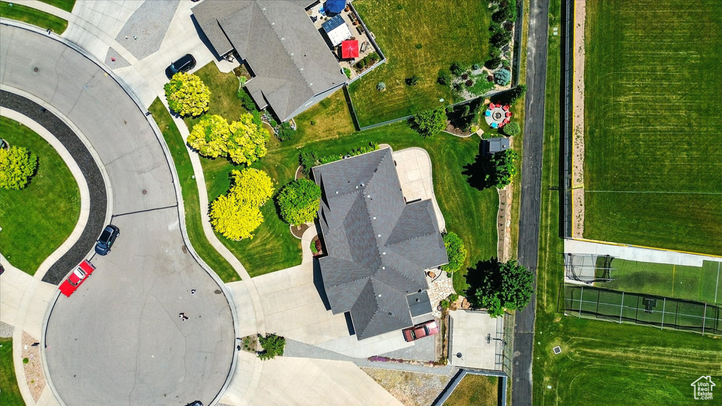 Bird\'s eye view