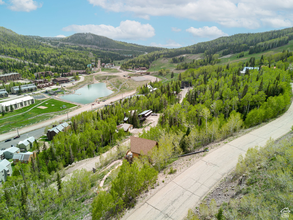 Bird's eye view of a forest and a water and mountain view