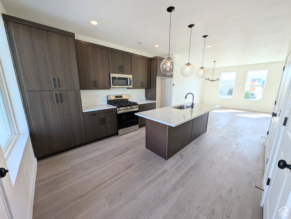 Kitchen featuring appliances with stainless steel finishes, a sink, dark brown cabinets, light countertops, and light wood-type flooring