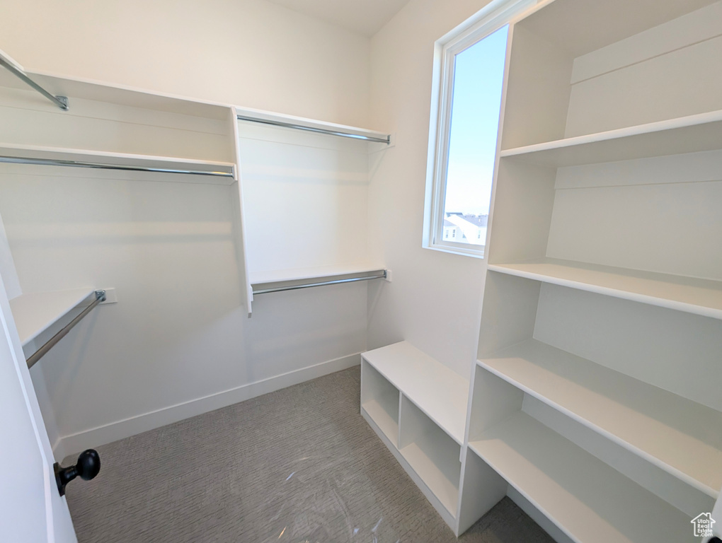 Walk in closet with carpet floors
