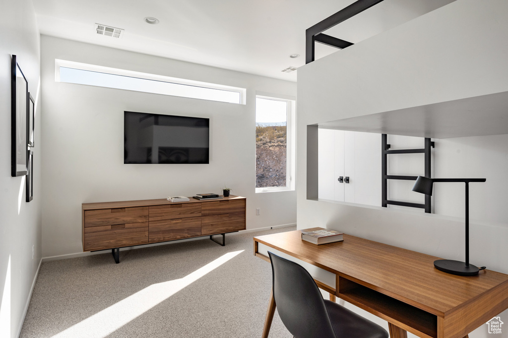 Carpeted office space featuring plenty of natural light and baseboards