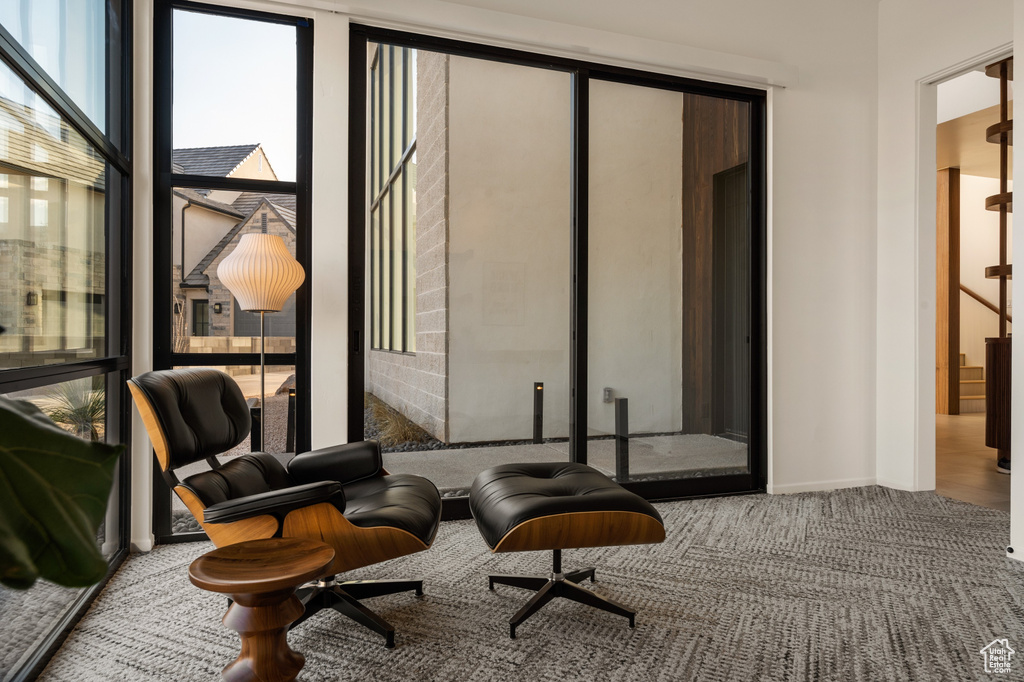 Living area featuring carpet