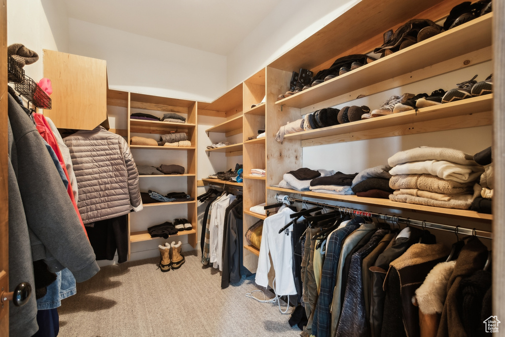 Spacious closet featuring carpet