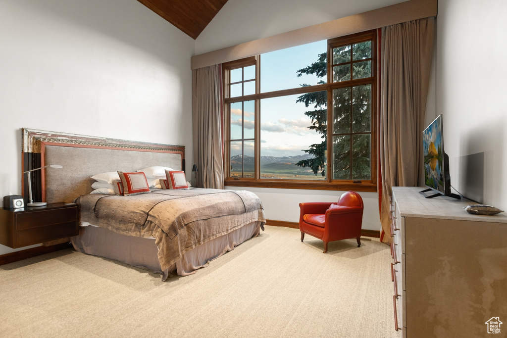 Carpeted bedroom with vaulted ceiling and baseboards