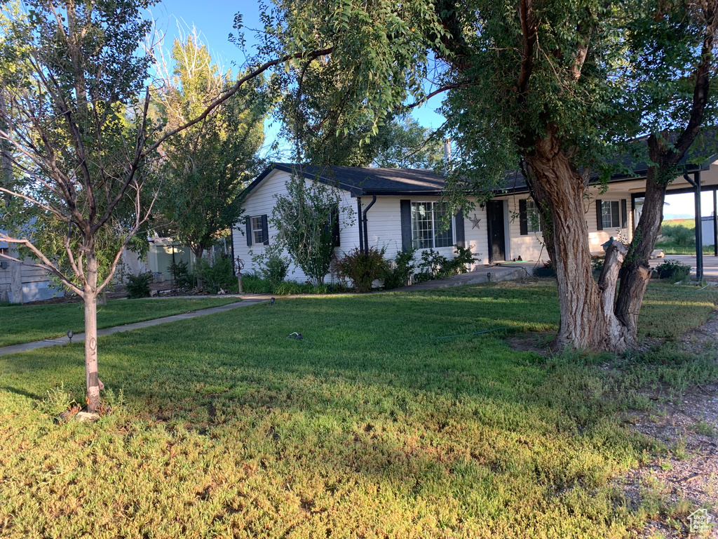 Ranch-style house with a front lawn
