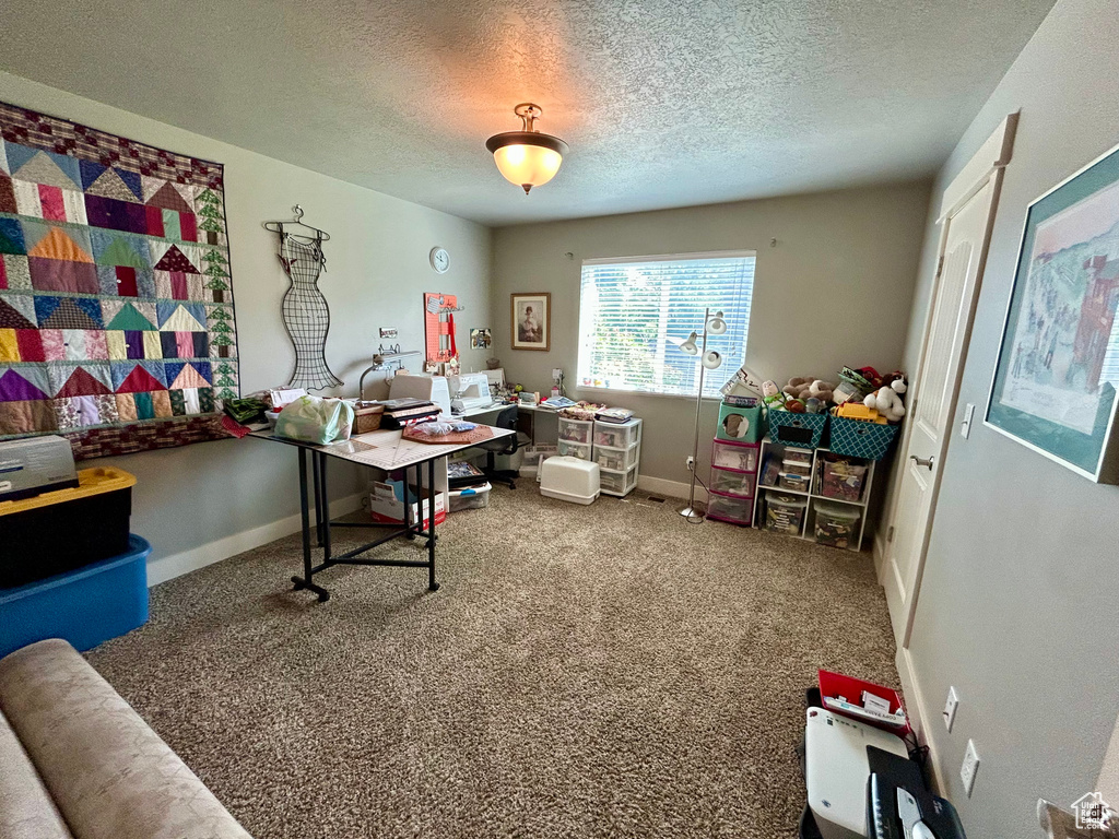 Carpeted home office with a textured ceiling and baseboards