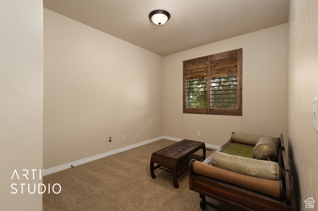 Living area featuring carpet and baseboards
