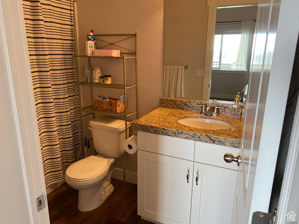 Full bathroom featuring wood finished floors, toilet, vanity, and a shower with shower curtain
