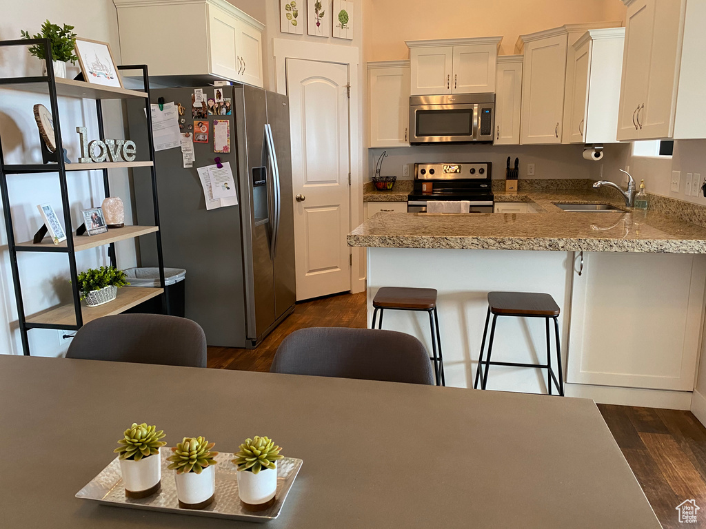 Kitchen featuring stainless steel appliances, a sink, dark wood-style floors, and a peninsula