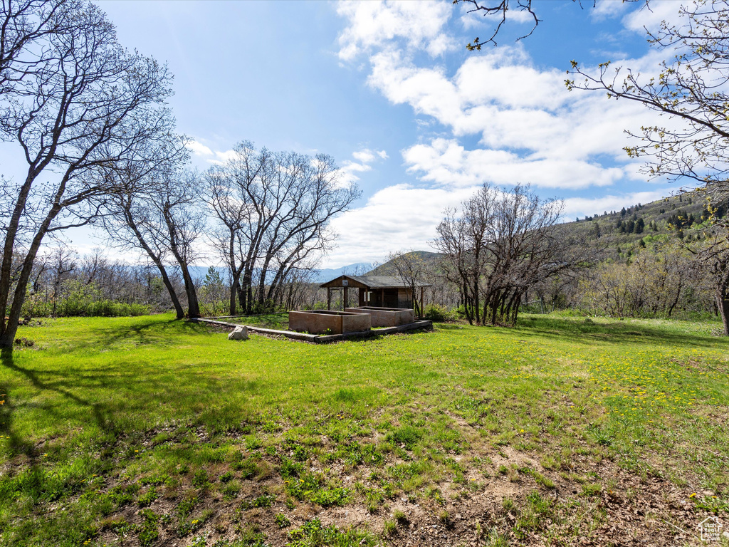 View of green lawn featuring a deck