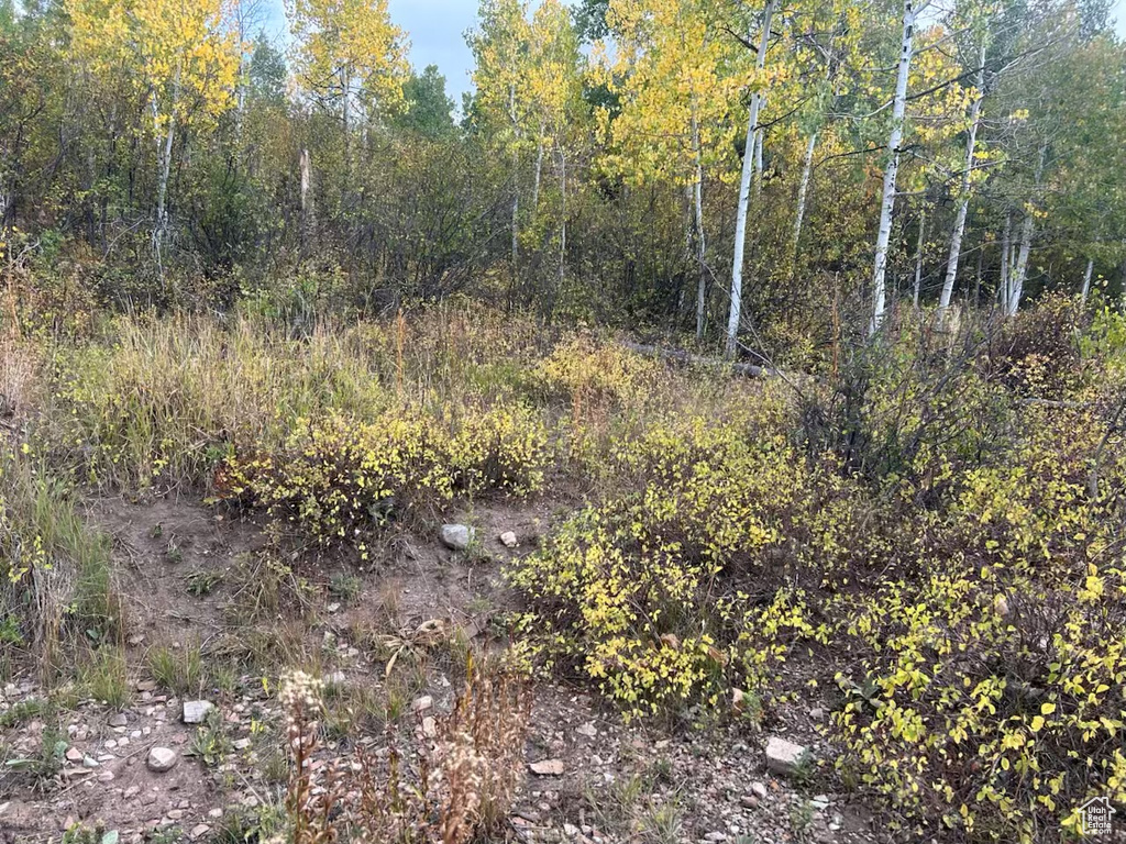 6723 E GERONIMO TRL Kamas, UT 84036