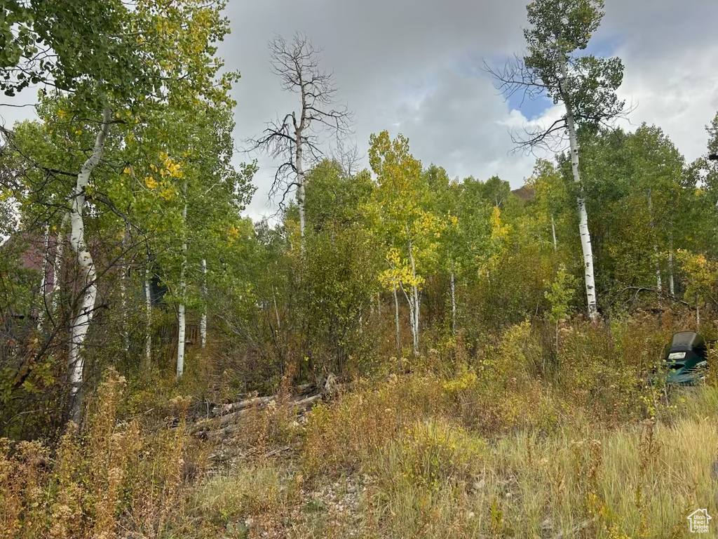 6723 E GERONIMO TRL Kamas, UT 84036