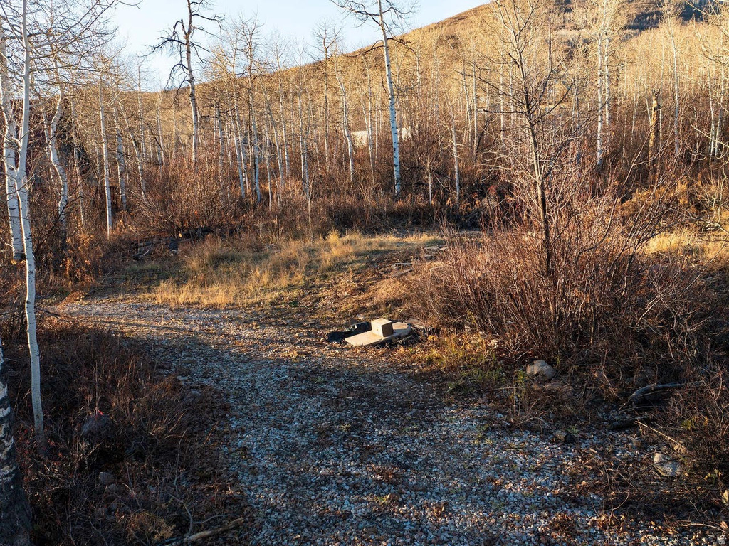 6723 E GERONIMO TRL Kamas, UT 84036