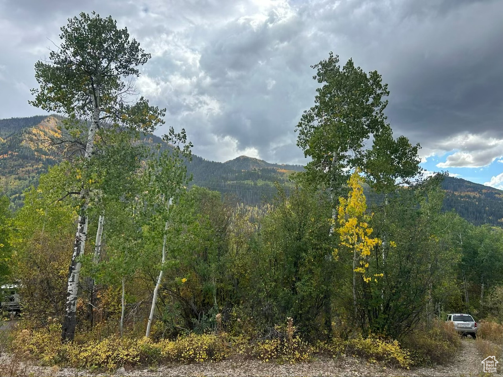 6723 E GERONIMO TRL Kamas, UT 84036