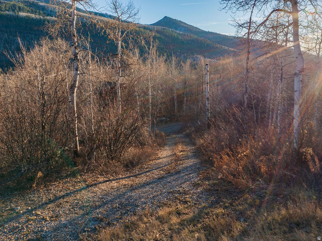 6723 E GERONIMO TRL Kamas, UT 84036