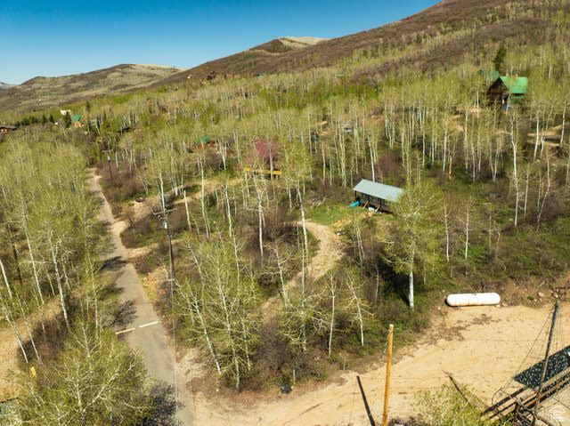View of mountain background