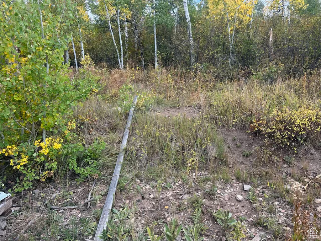 6723 E GERONIMO TRL Kamas, UT 84036