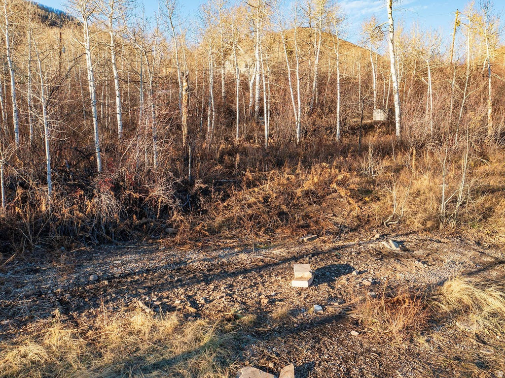 6723 E GERONIMO TRL Kamas, UT 84036