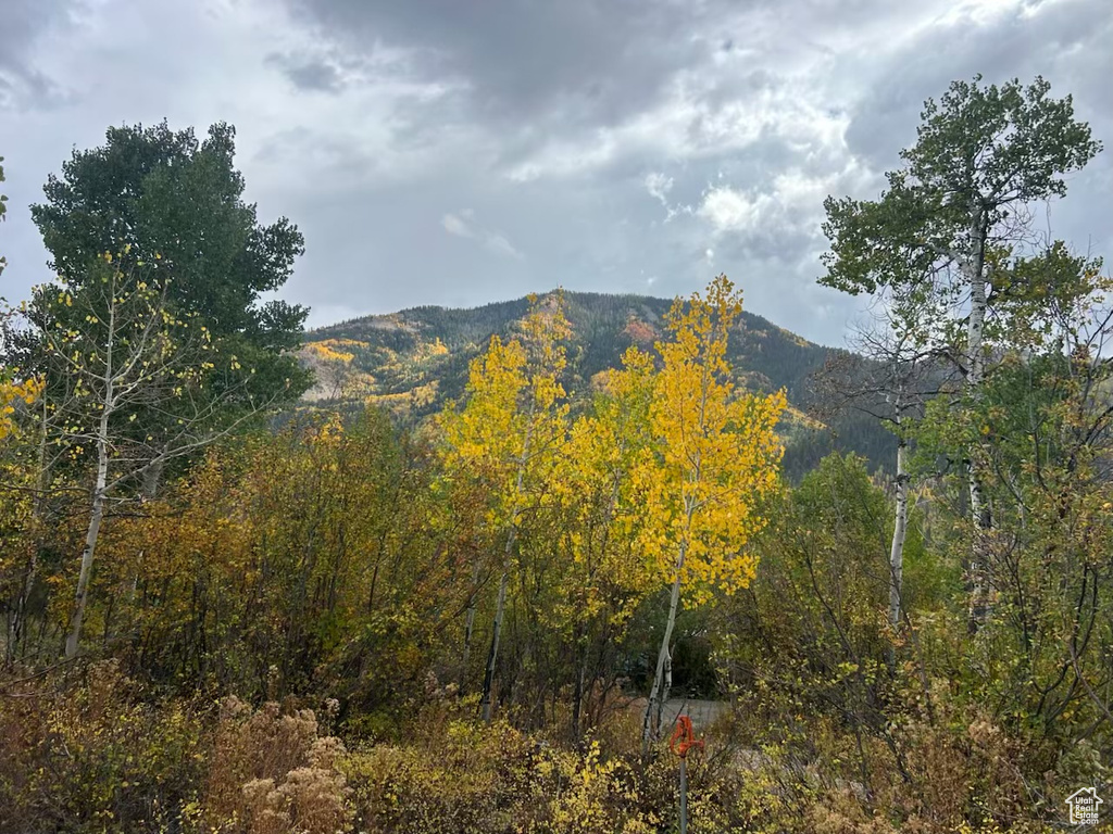 6723 E GERONIMO TRL Kamas, UT 84036