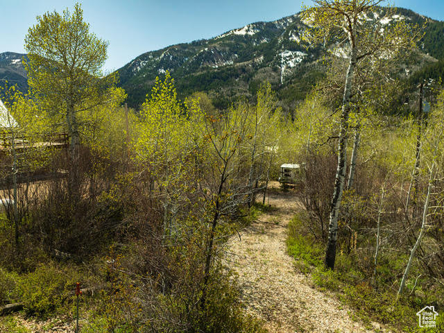 View of mountain background