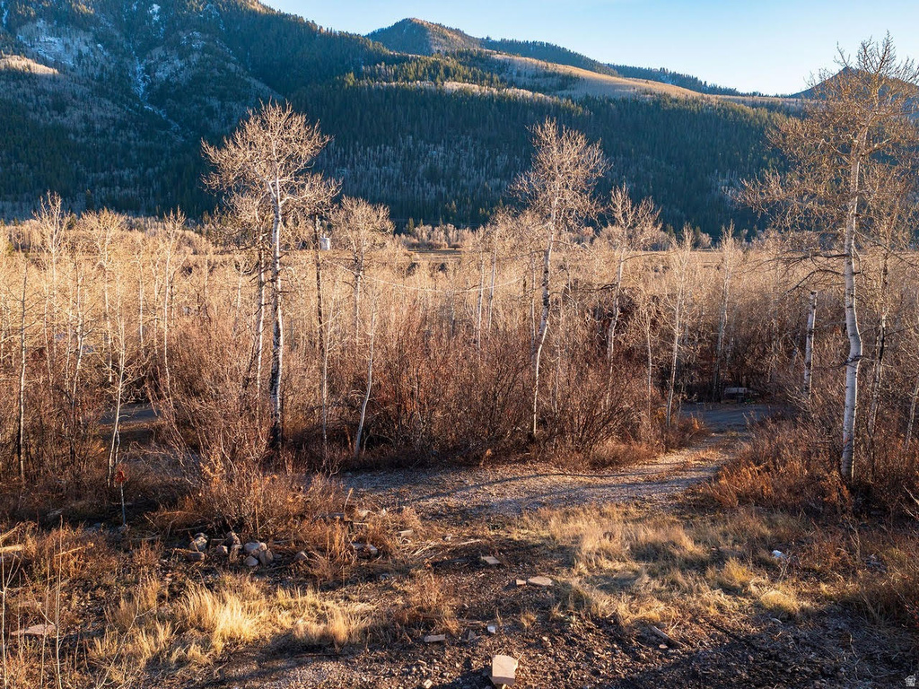 6723 E GERONIMO TRL Kamas, UT 84036