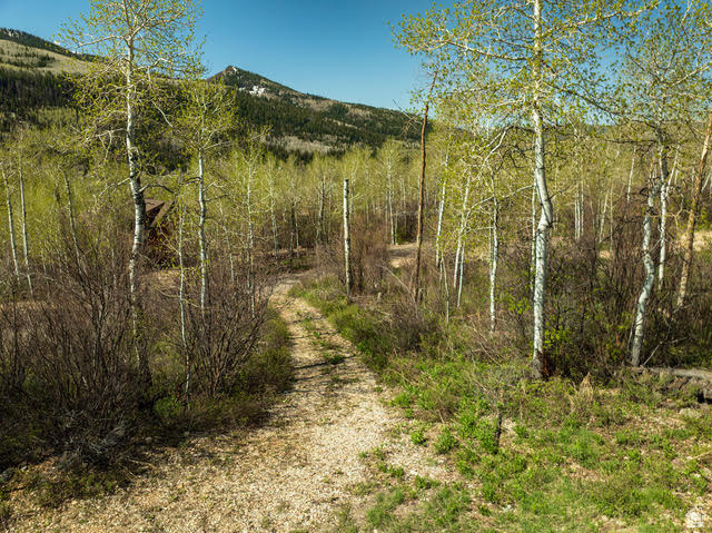 View of nature featuring mountains