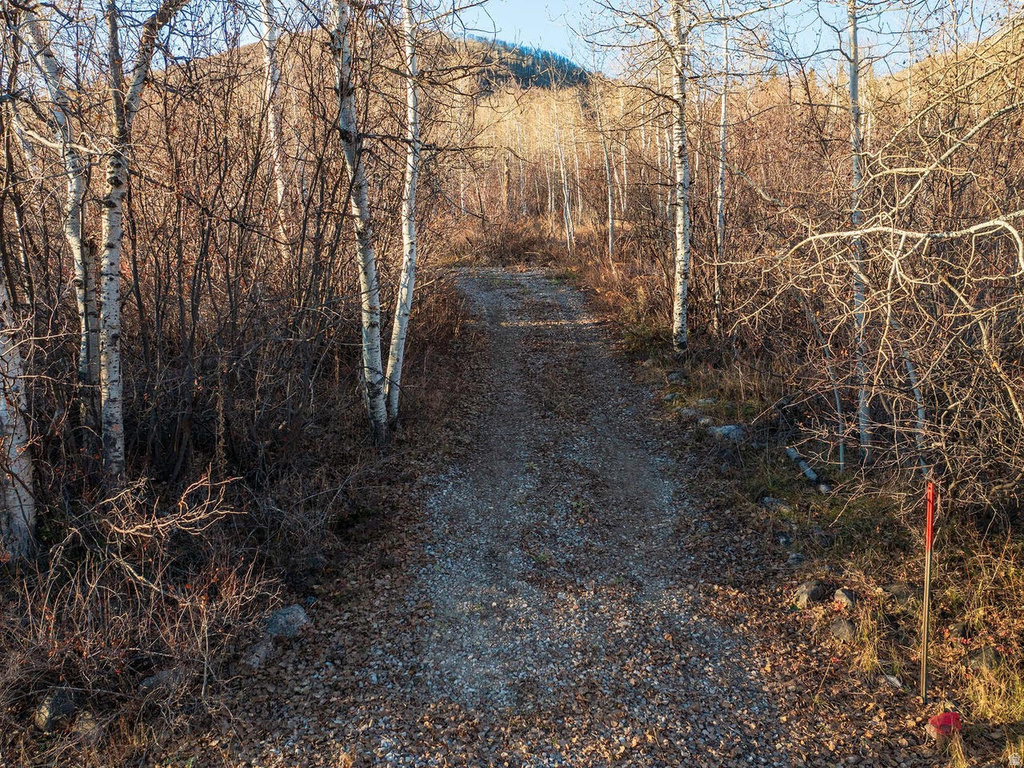 6723 E GERONIMO TRL Kamas, UT 84036