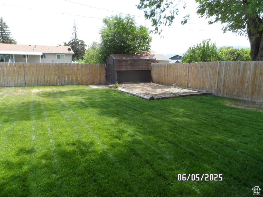 View of yard